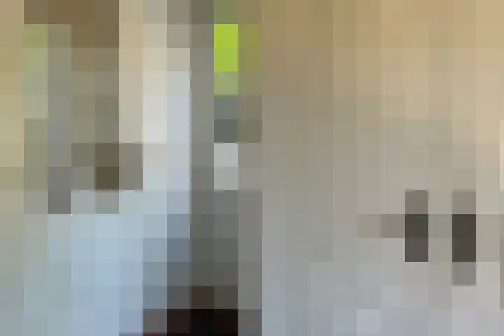 De Hoeven 46 A Haarsteeg thumbnail 4