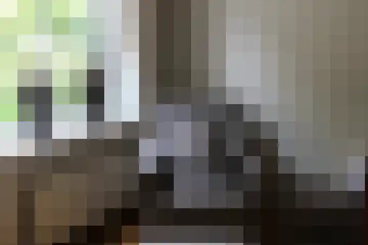 De Hoeven 46 A Haarsteeg thumbnail 7