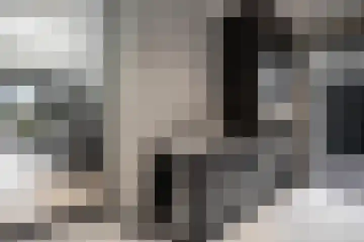 De Hoeven 60 E Haarsteeg thumbnail 11