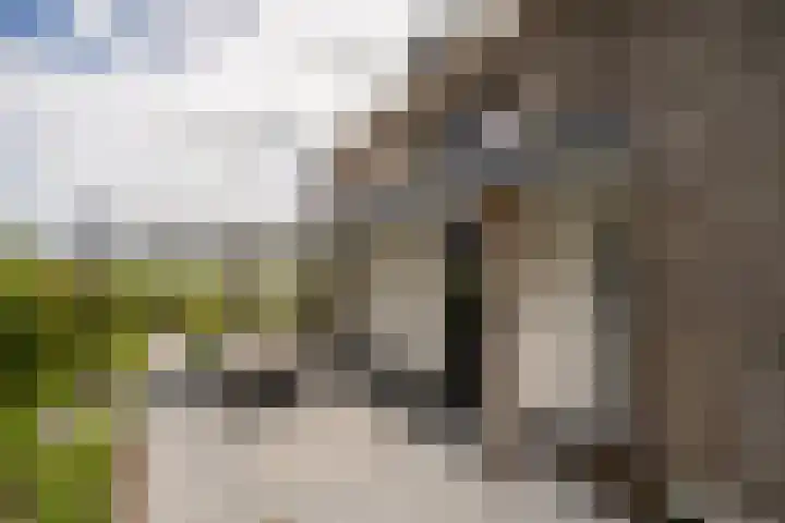 De Hoeven 60 E Haarsteeg thumbnail 13