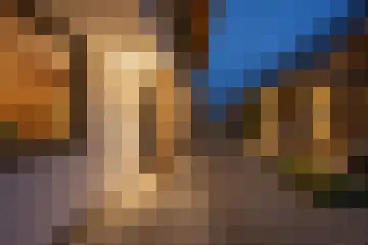 De Hoeven 60 E Haarsteeg thumbnail 15