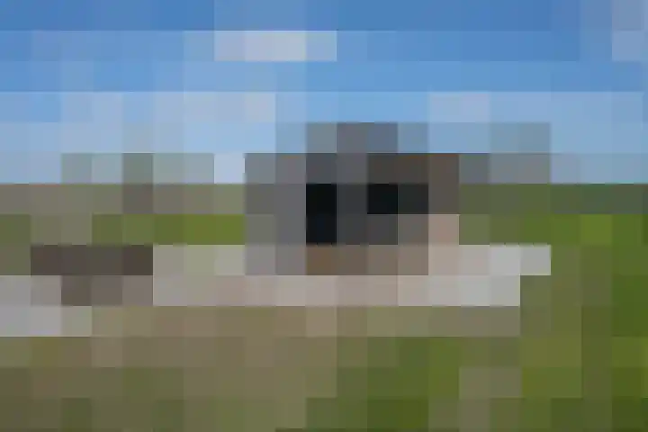 De Hoeven 60 E Haarsteeg thumbnail 18