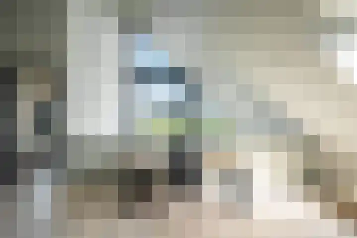 De Hoeven 60 E Haarsteeg thumbnail 20