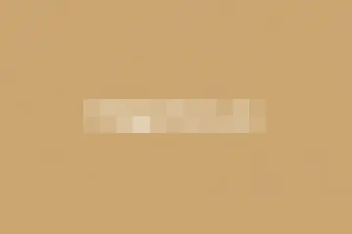 De Hoeven 60 E Haarsteeg thumbnail 39