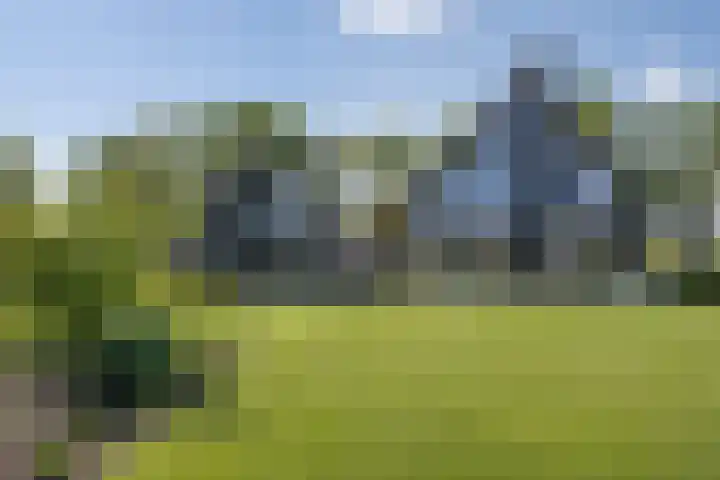 De Hoeven 60 E Haarsteeg thumbnail 4