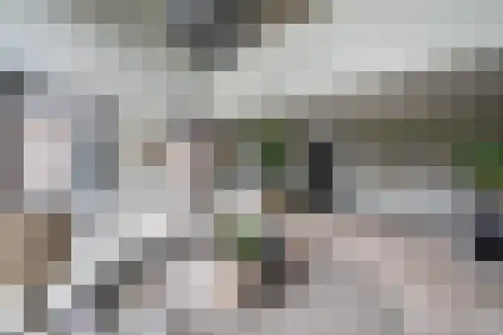 De Hoeven 60 E Haarsteeg thumbnail 5