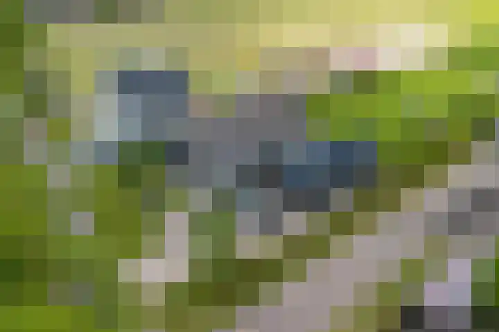 De Hoeven 60 E Haarsteeg thumbnail 53