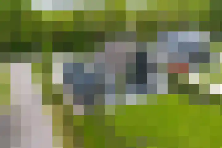 De Hoeven 60 E Haarsteeg thumbnail 56