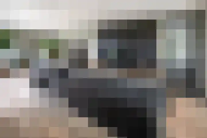 De Hoeven 60 E Haarsteeg thumbnail 7