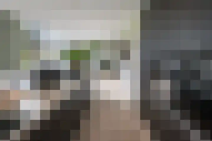 De Hoeven 60 E Haarsteeg thumbnail 8