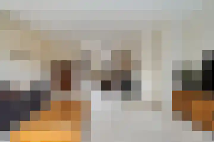 De Hoeven 9 Haarsteeg thumbnail 16