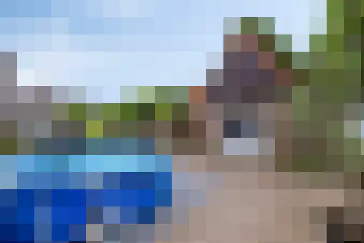 De Hoeven 9 Haarsteeg thumbnail 27