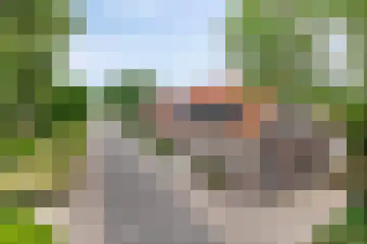 De Hoeven 9 Haarsteeg thumbnail 31