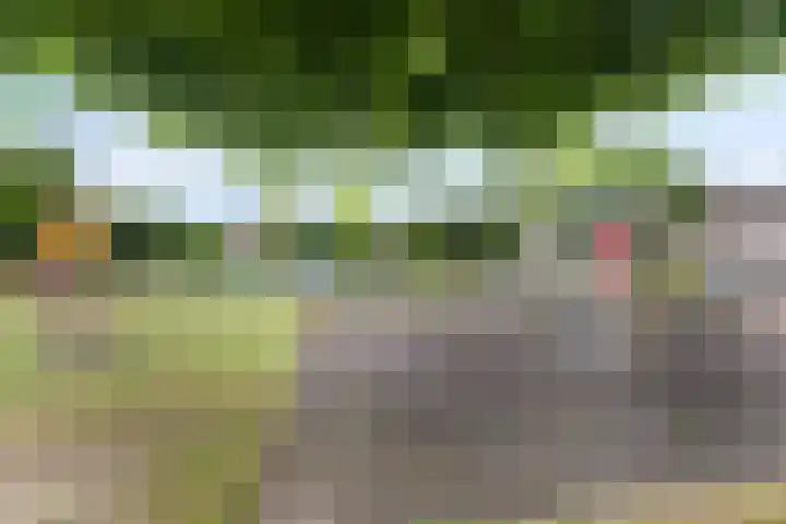 De Hoeven 9 Haarsteeg thumbnail 32