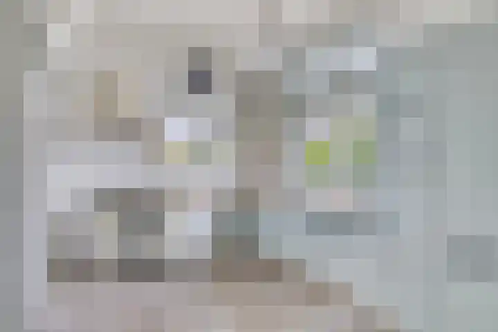 De Hoeven 9 Haarsteeg thumbnail 8