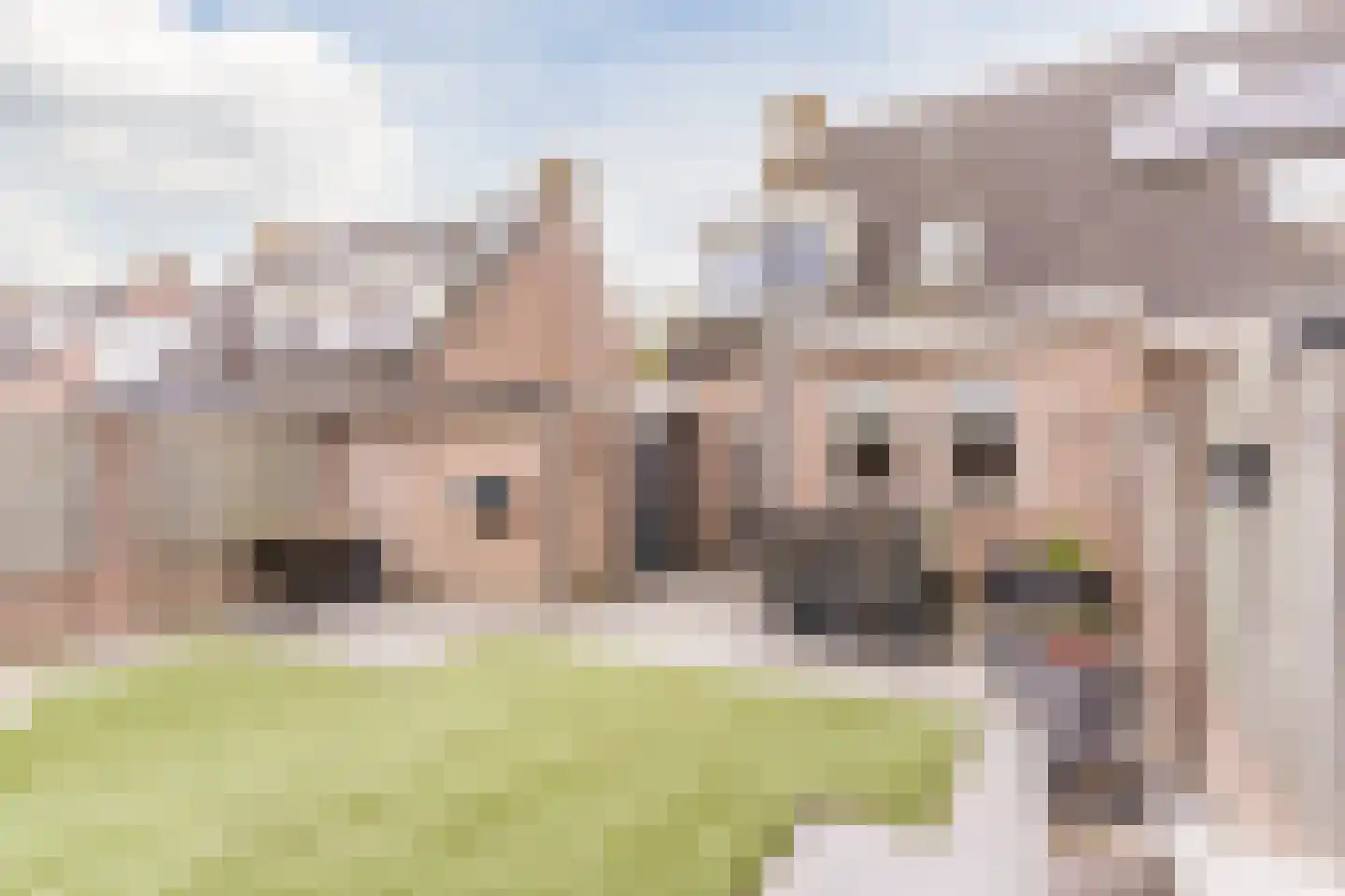 De Hoeven 9 Hapert thumbnail 28