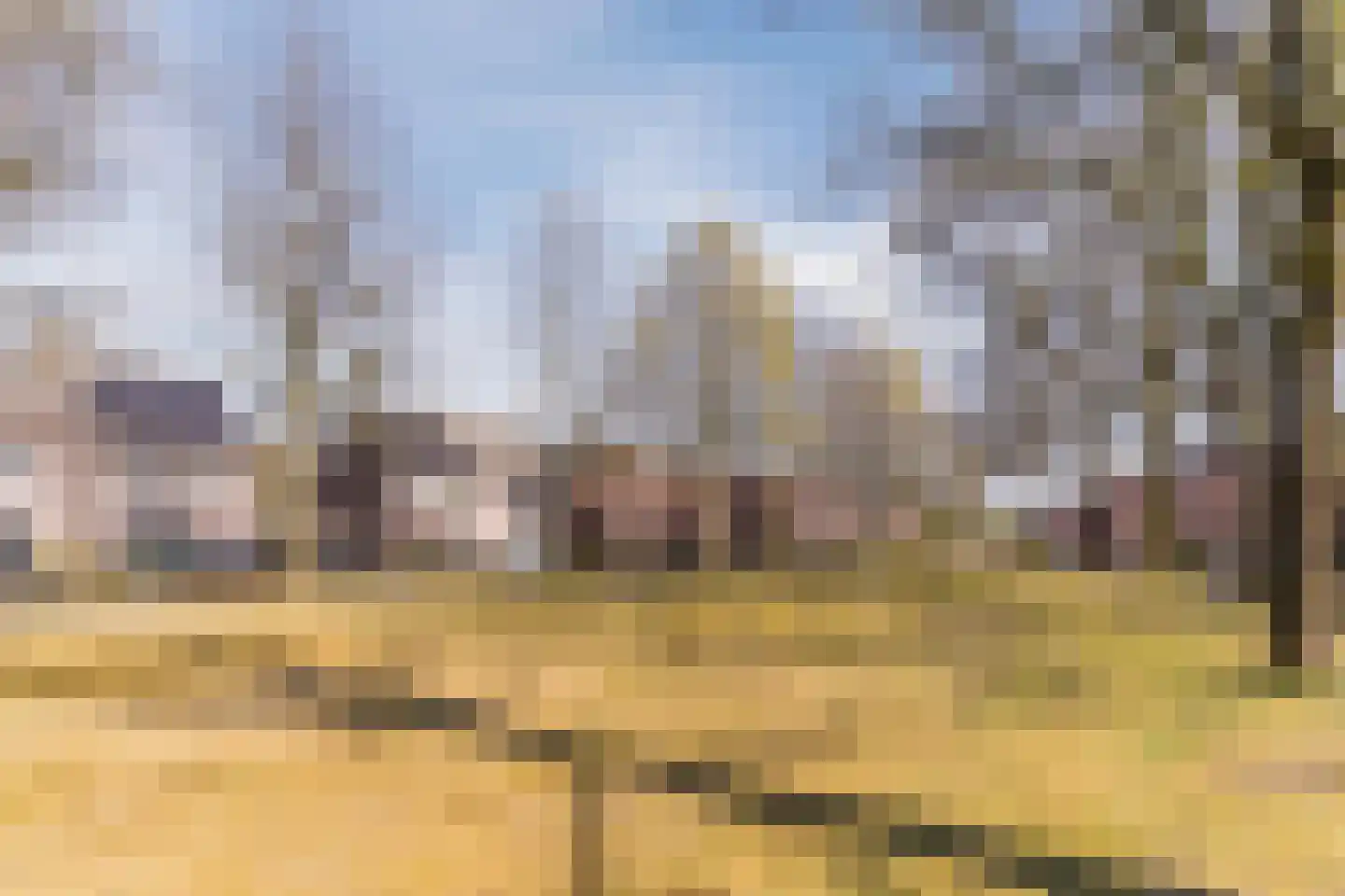 De Hoeven 9 Hapert thumbnail 31