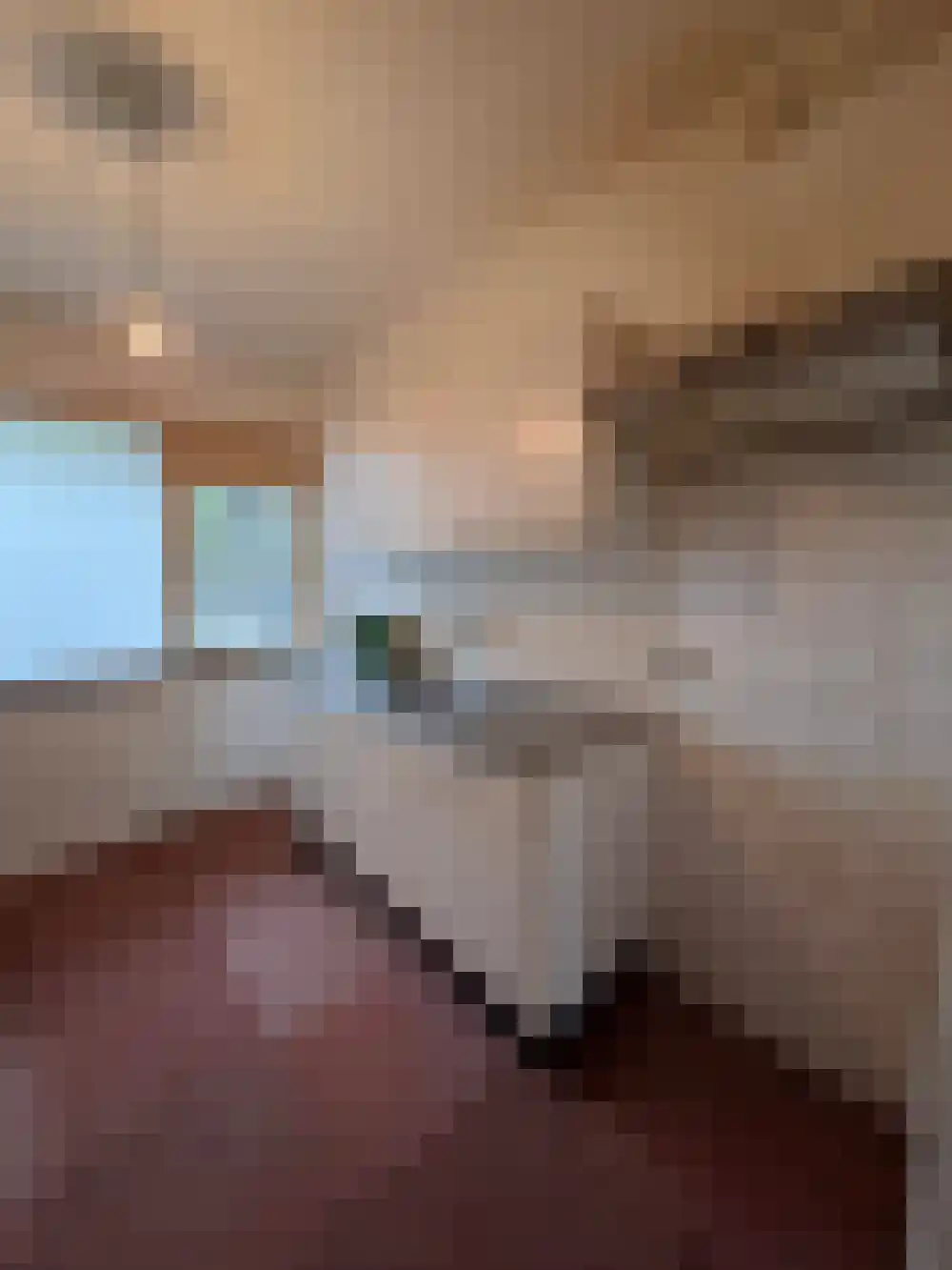 De Hoevenakkers 16 Waalre thumbnail 7