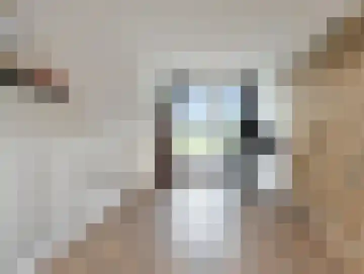 De Hoevens 104 Hooglanderveen thumbnail 19