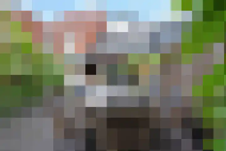 De Hoevens 104 Hooglanderveen thumbnail 31