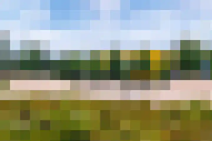 De Hoevens 104 Hooglanderveen thumbnail 32
