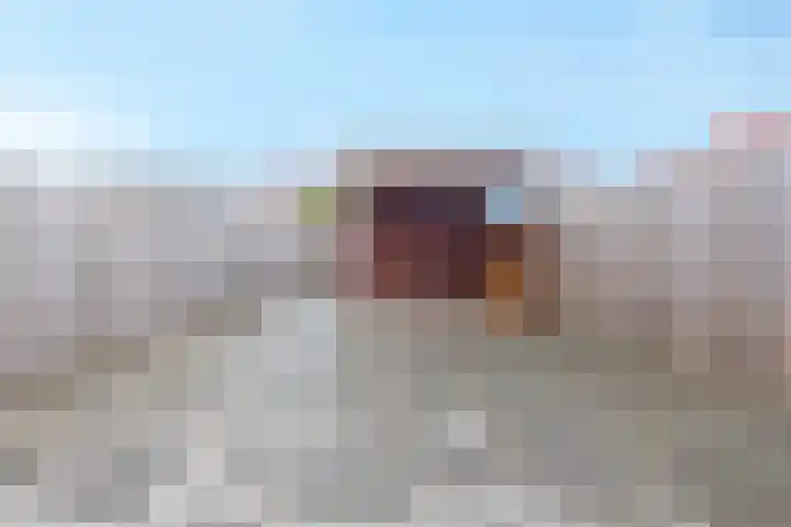 De Hoevens 110 Hooglanderveen thumbnail 14