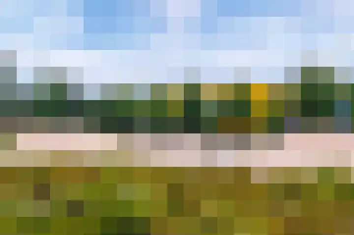 De Hoevens 110 Hooglanderveen thumbnail 23