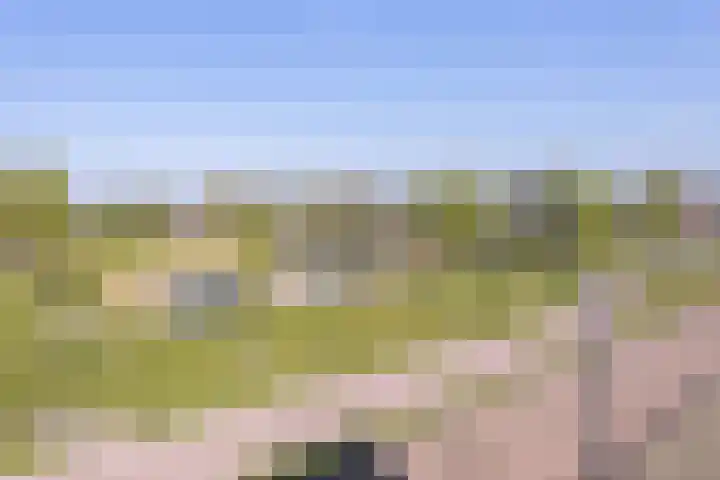 De Hoevens 110 Hooglanderveen thumbnail 26
