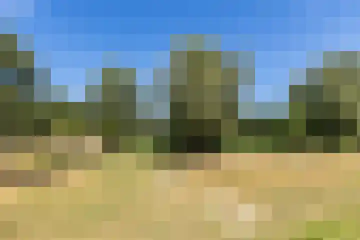 De Hoevens 142 Hooglanderveen thumbnail 30
