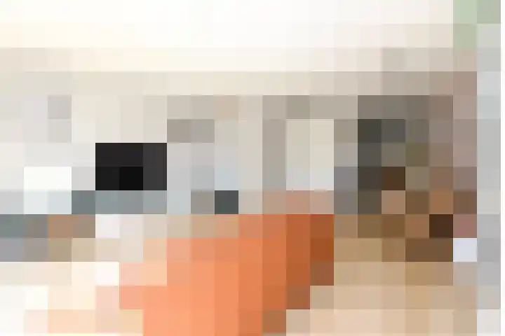 De Hoevens 154 Hooglanderveen thumbnail 11