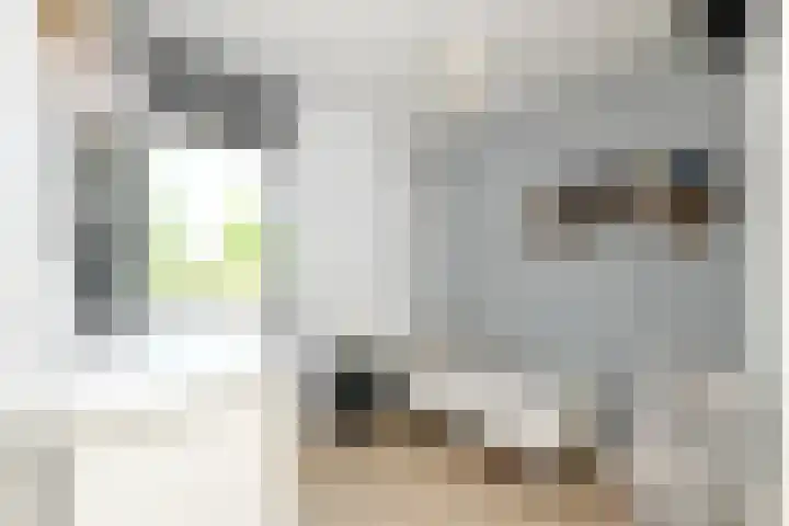 De Hoevens 154 Hooglanderveen thumbnail 21