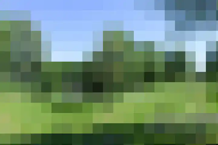 De Hoevens 154 Hooglanderveen thumbnail 29