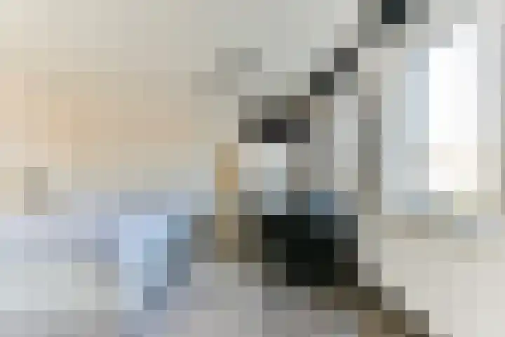 De Hoevens 22 Hooglanderveen thumbnail 21