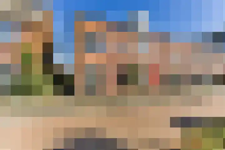 De Hoevens 22 Hooglanderveen thumbnail 7