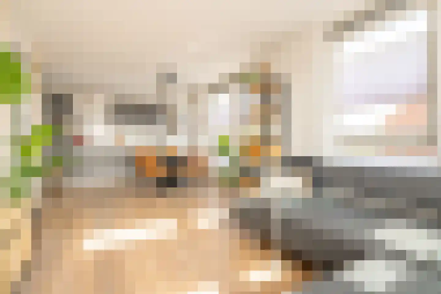 De Hoevens 54 Hooglanderveen thumbnail 15