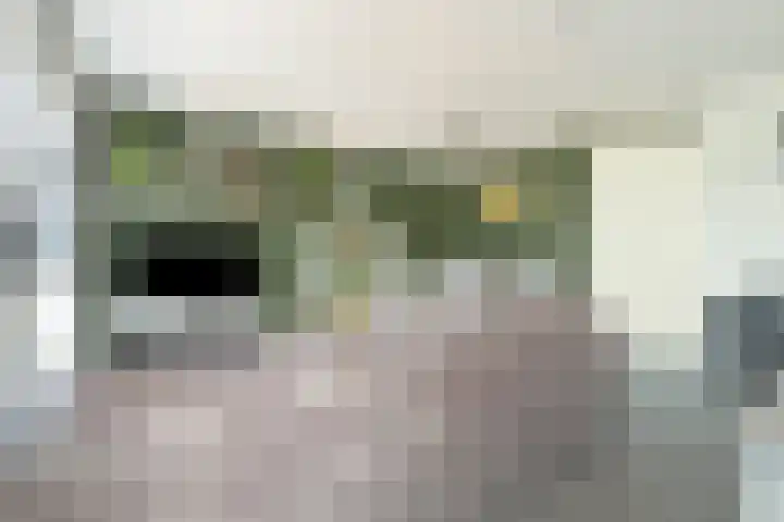 De Hoevens 60 Hooglanderveen thumbnail 22
