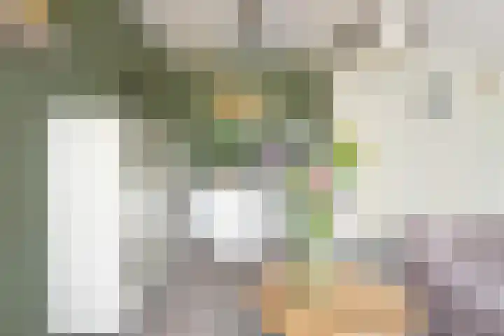 De Hoevens 60 Hooglanderveen thumbnail 26