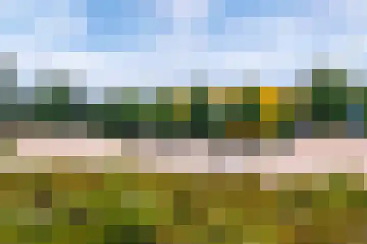 De Hoevens 60 Hooglanderveen thumbnail 32
