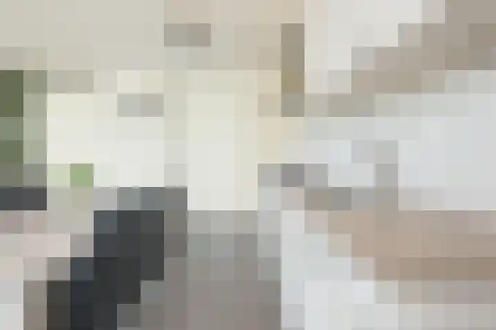 De Hoevens 60 Hooglanderveen thumbnail 4