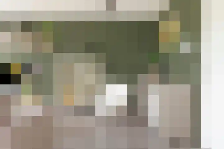 De Hoevens 60 Hooglanderveen thumbnail 5