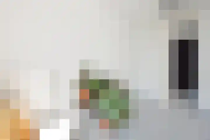 De Hoevens 80 Hooglanderveen thumbnail 10