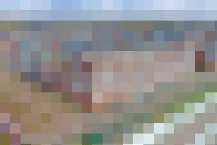 De Hoevens 80 Hooglanderveen thumbnail 27