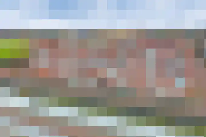 De Hoevens 80 Hooglanderveen thumbnail 30
