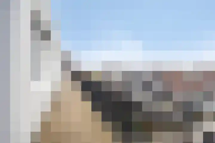 De Hoevens 90 Hooglanderveen thumbnail 10