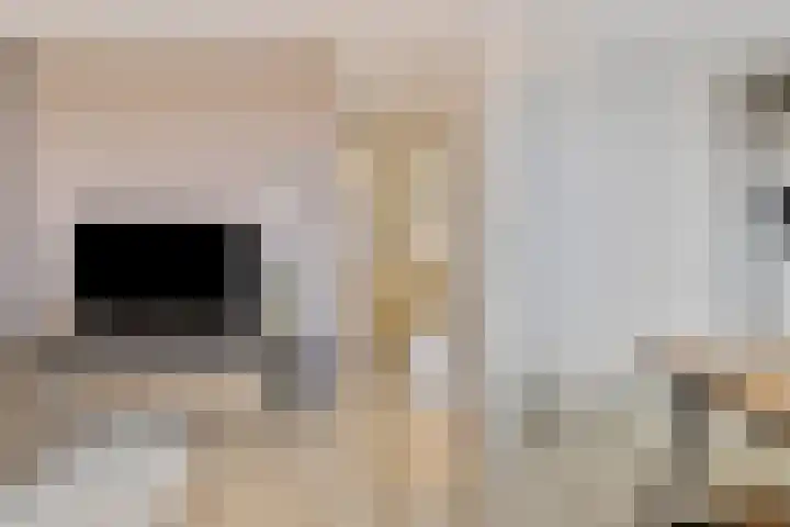 De Hoevens 90 Hooglanderveen thumbnail 13