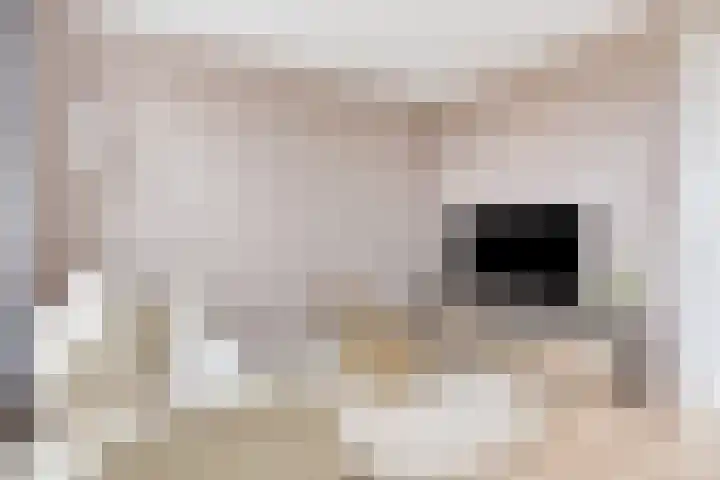De Hoevens 90 Hooglanderveen thumbnail 15