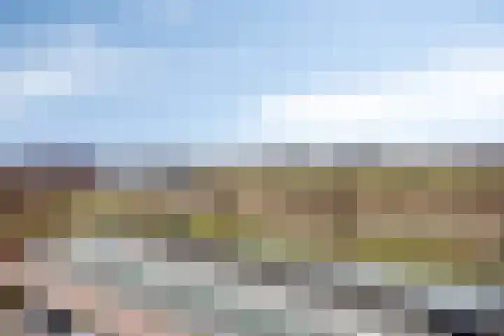 De Hoevens 90 Hooglanderveen thumbnail 28