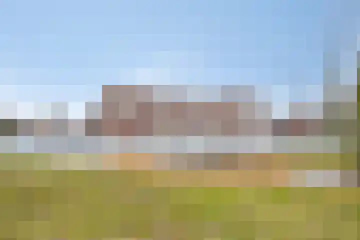 De Hoevens 90 Hooglanderveen thumbnail 36