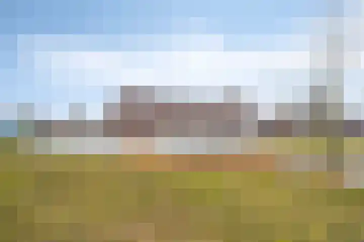 De Hoevens 90 Hooglanderveen thumbnail 37