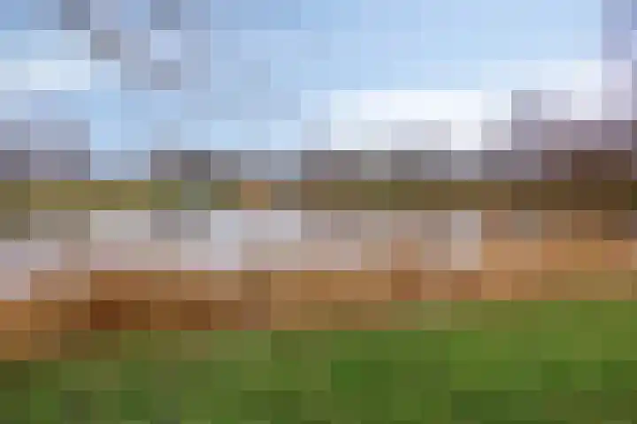 De Hoevens 90 Hooglanderveen thumbnail 38